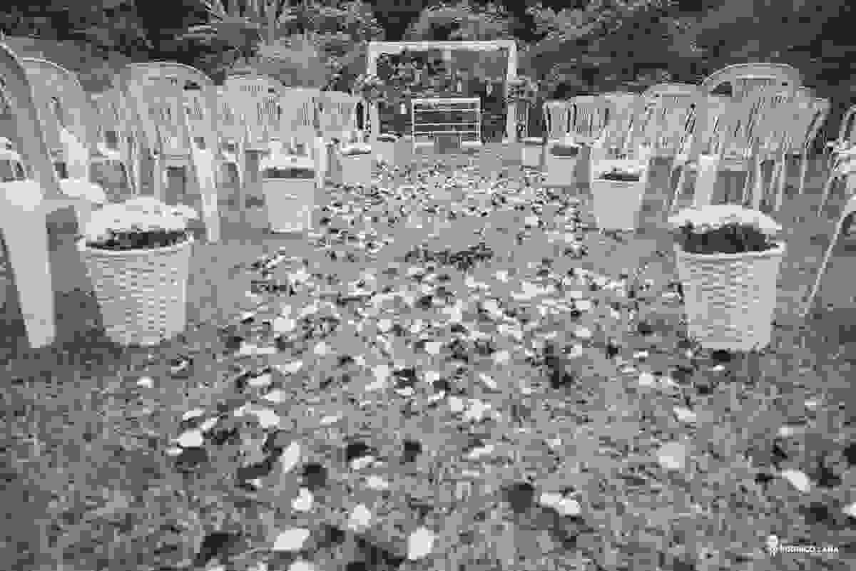 casamento, amor, cura, vida, mini, wedding
