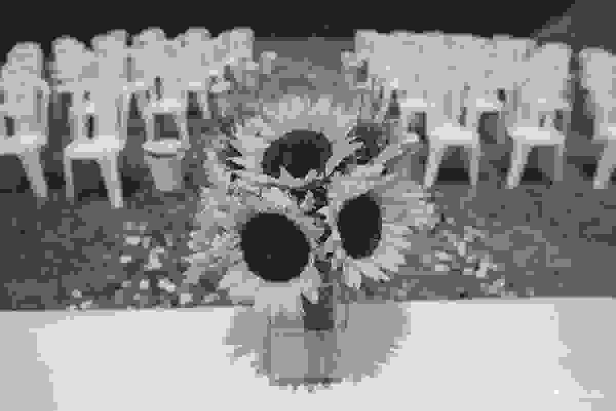 casamento, amor, cura, vida, mini, wedding