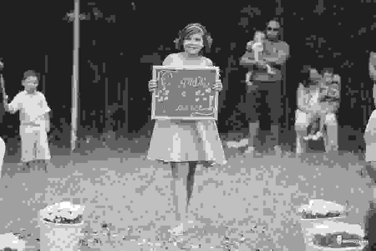 casamento, amor, cura, vida, mini, wedding
