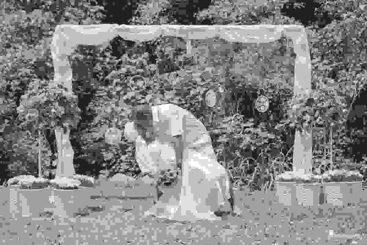 casamento, amor, cura, vida, mini, wedding