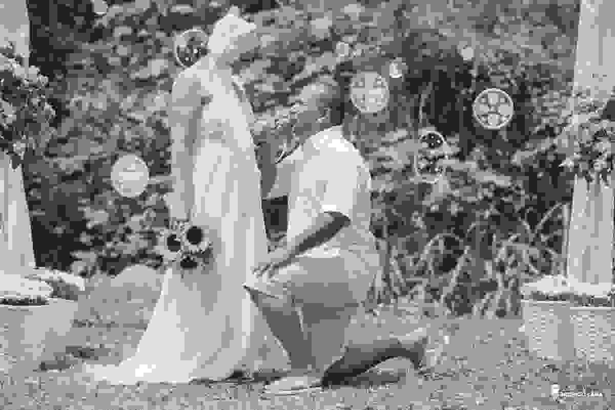 casamento, amor, cura, vida, mini, wedding