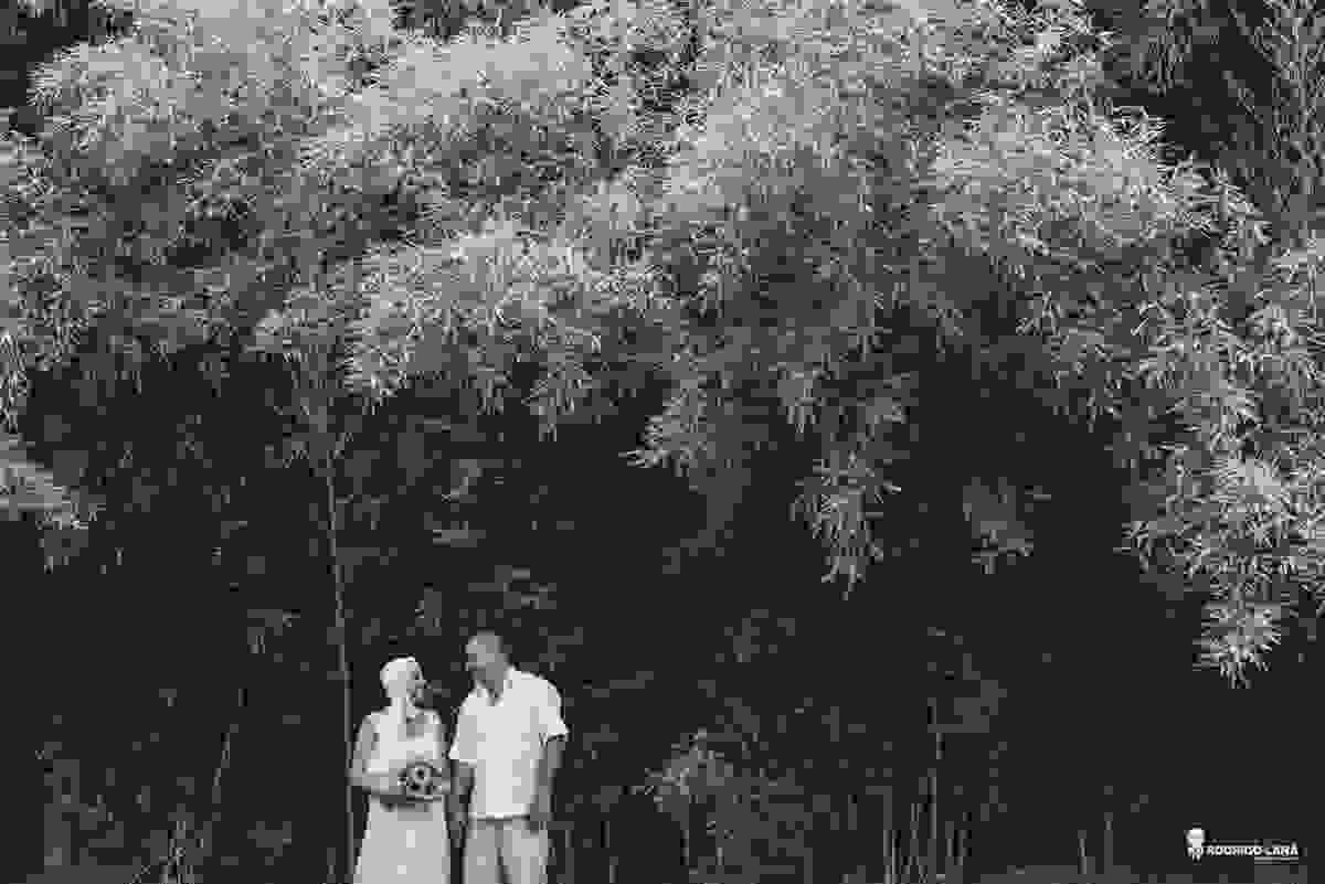 casamento, amor, cura, vida, mini, wedding