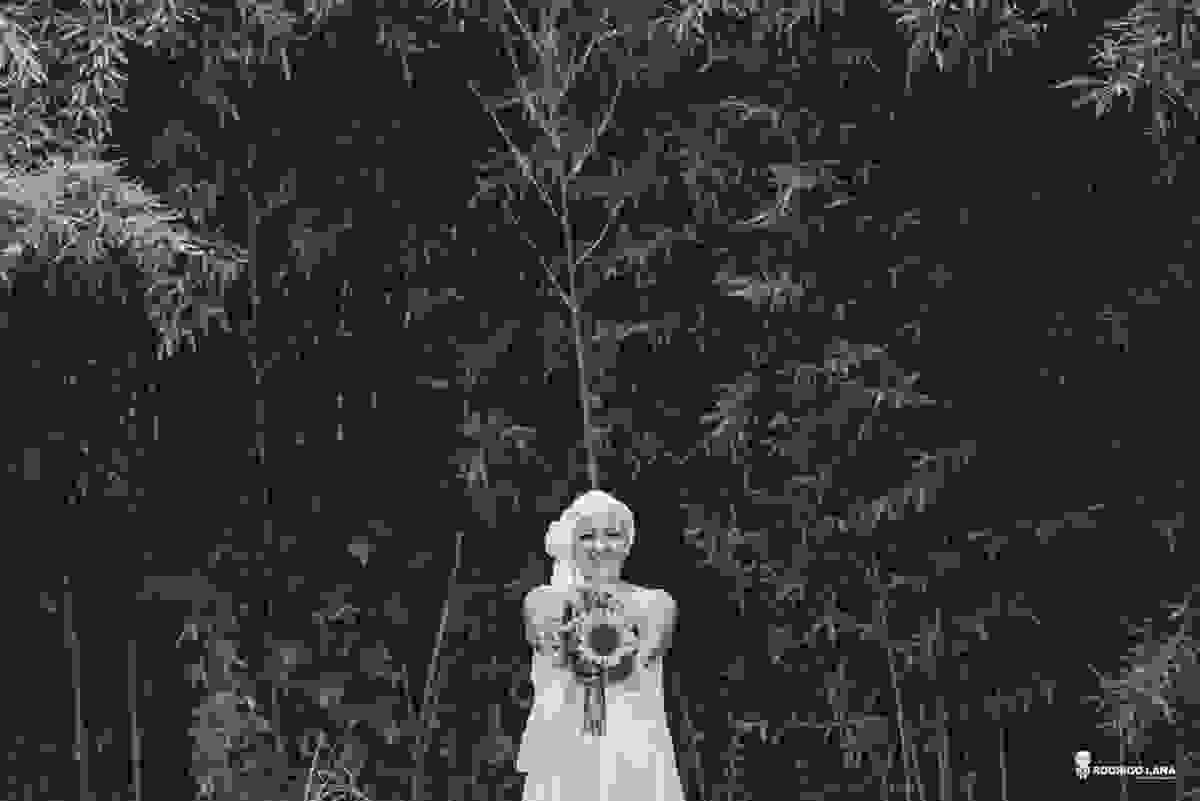 casamento, amor, cura, vida, mini, wedding