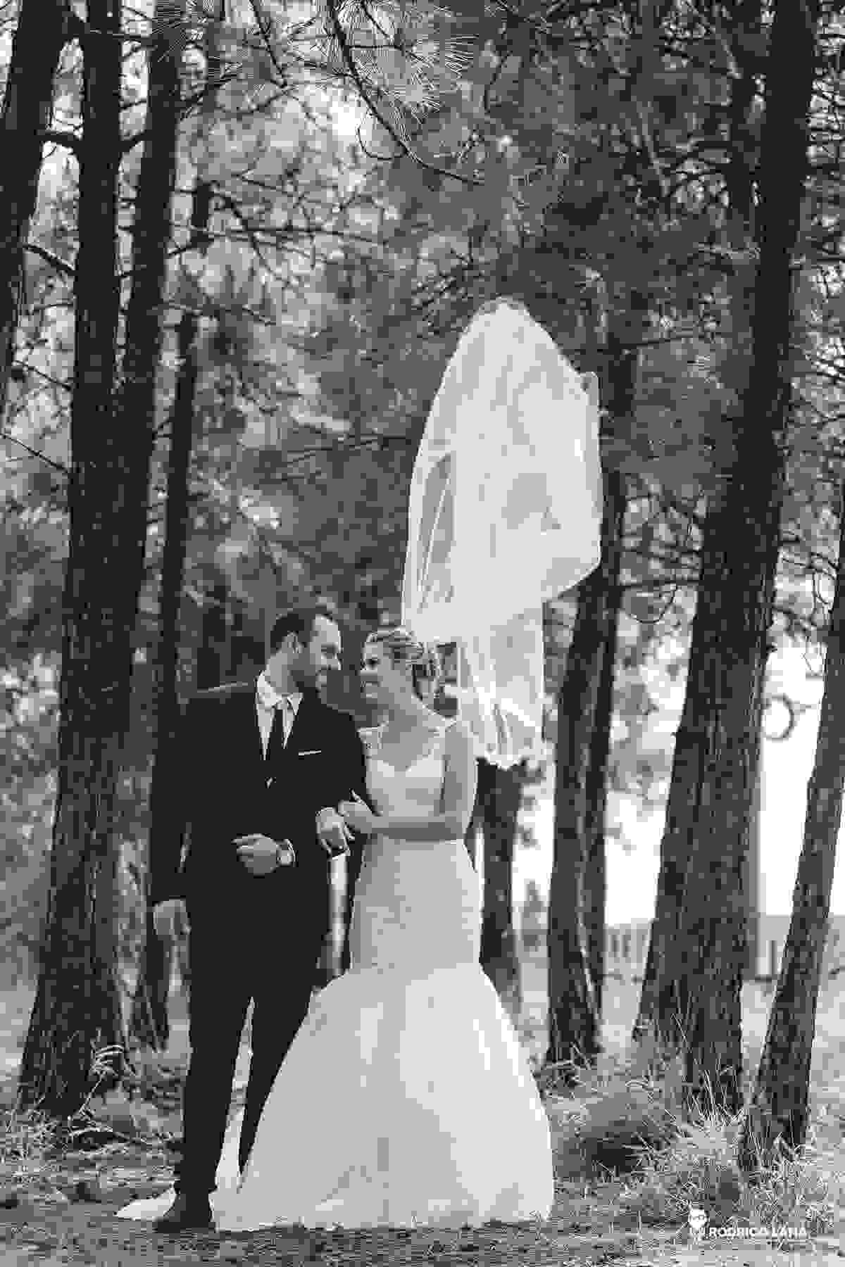 fotos de casamento ensaio