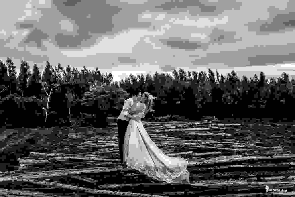 noivo beijando a noiva em cima da floresta de eucaliptos no espírito santo