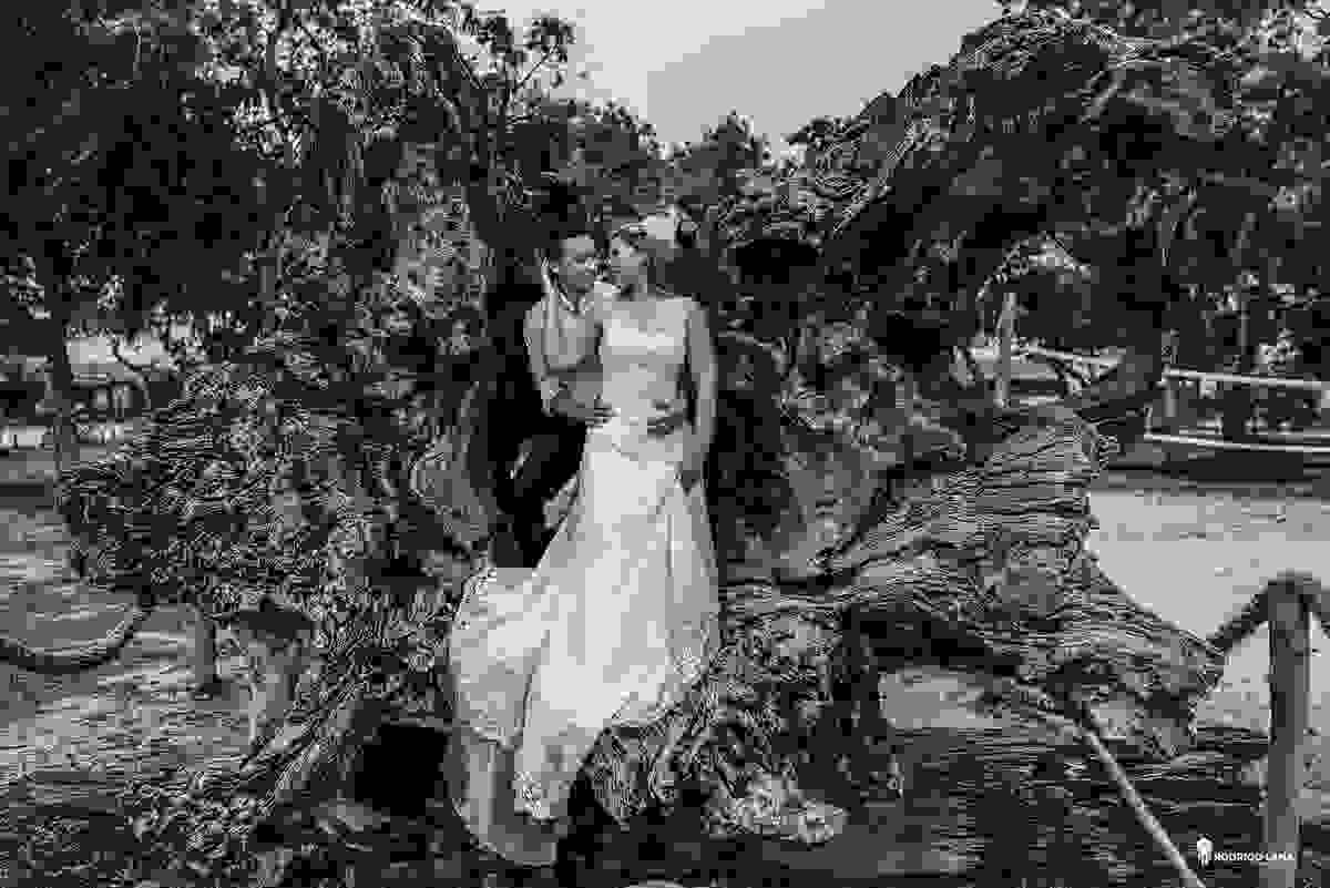 noiva e noivo junto em cima do tronco de árvore em dunas de itaúnas