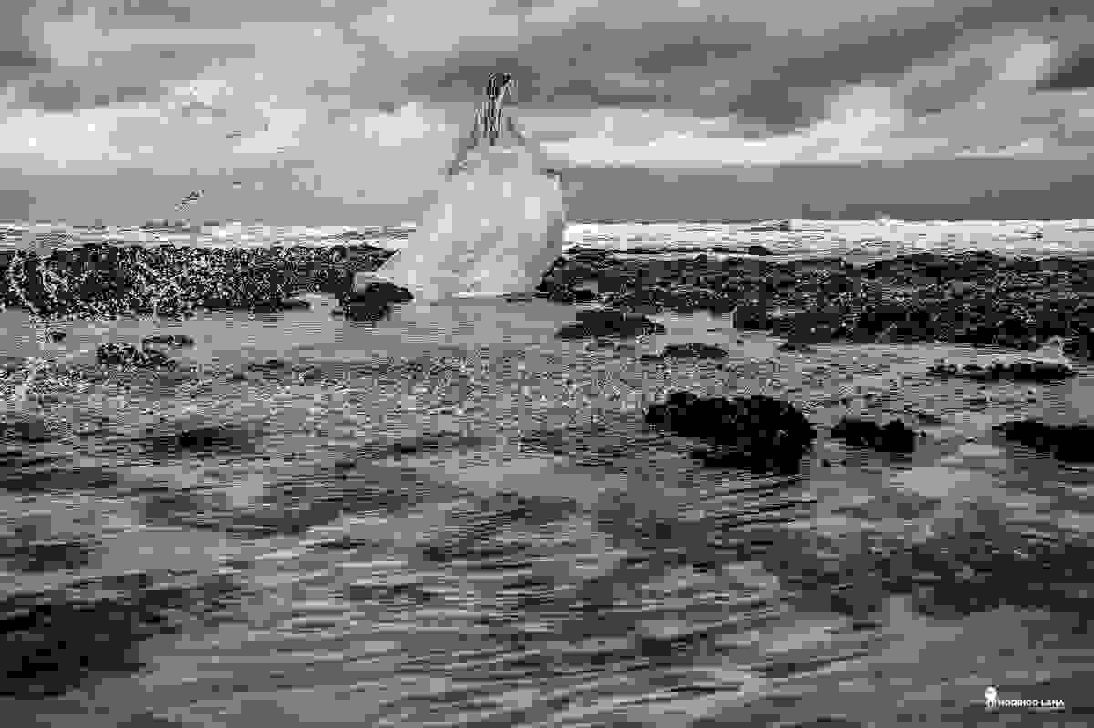 noiva feliz com seu vestido na praia do espírito santo e bahia