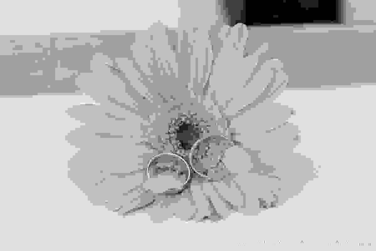 BARBARA SUYAN FOTOGRAFIA, FLORES, CASAMENTO NOVA LIMA, CONFRARIA DO HONORIO, FOTOGRAFA BH, FOTOGRAFO BH, FOTOGRAFIA BH, FOTOGRAFIA CASAMENTO BH, WEDDING, CERIMONIA MESSIANICA, VESTIDO NOIVA ALGODAO