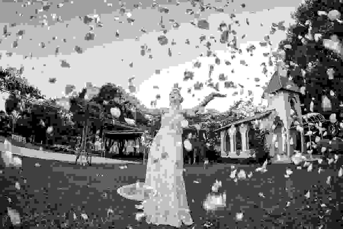 pose de noiva, foto de noiva, vestido de noiva, chuva de pétalas de rosas, foto arte, daniel scherer, fotografo de casamento