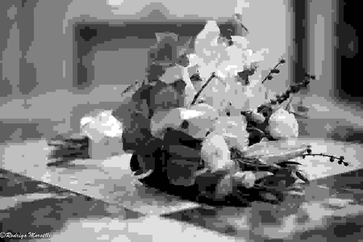 o bouquet da noiva