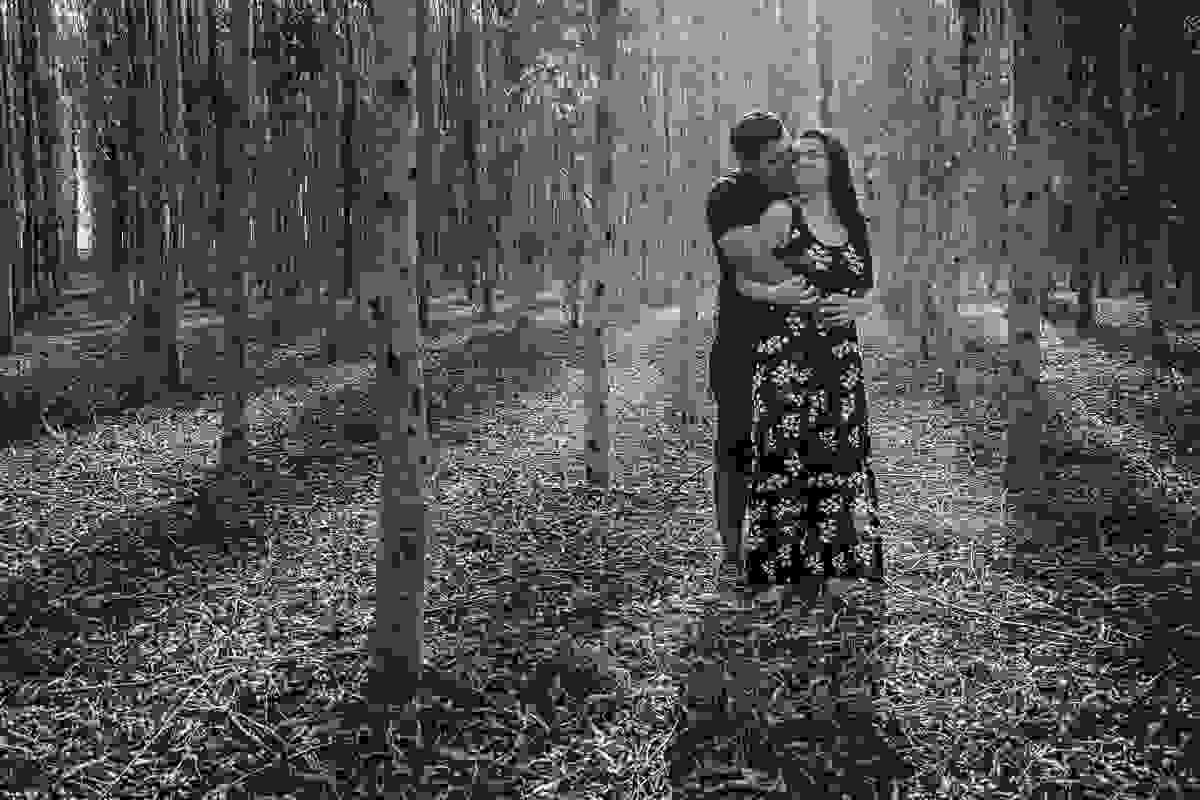 ensaio fotografico com abraços, amor e carinho nos eucaliptos em lucena fografado pelo fotografo pb jocieldes alves que é fotografo de casamentos na paraíba