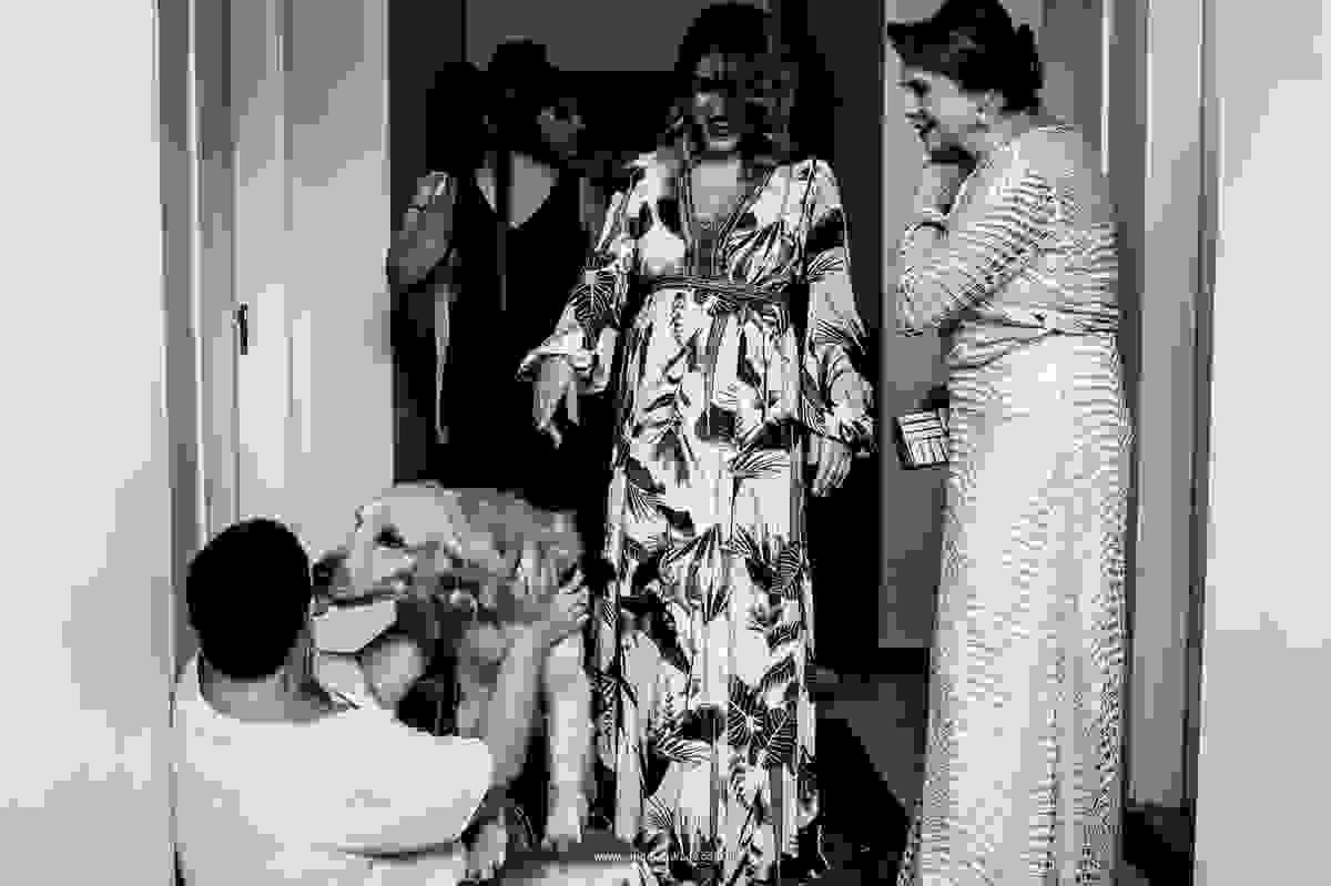 Fotografia de momento do cachorrinho derrubando a senhora no chão e enchendo de beijos.