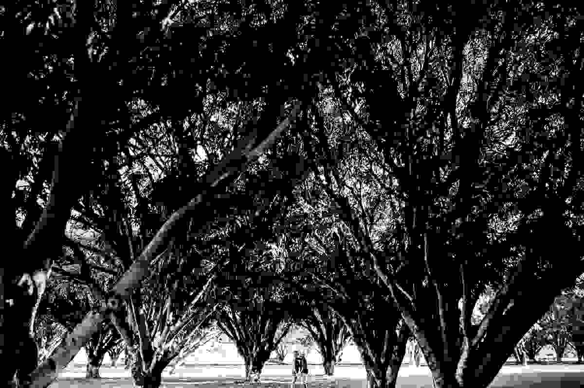 Uma forma diferenciada de enxergar o amor, os lugares, a fotografia. Linda fotografia feita no museu do índio no plano piloto