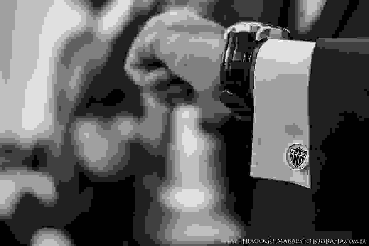 foto video filmagem fotografia casamento wedding contagem belo horizonte alvina bitencourt hayanne joao paulo thiago guimaraes fotografo casando em bh mg minas gerais