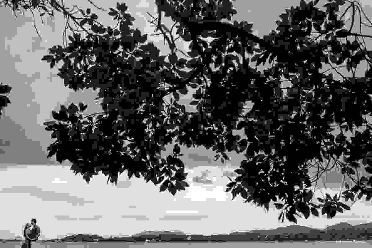 silhueta do casal com árvore e lagoa da conceição de fundo