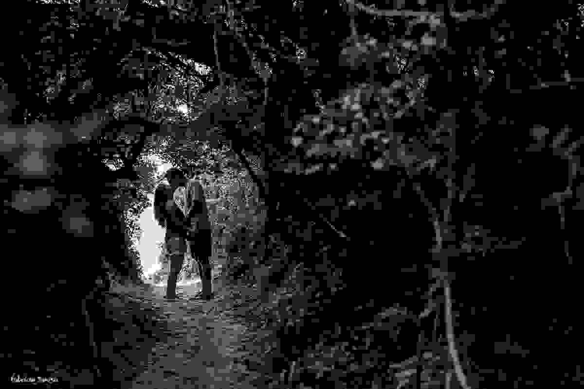 beijo na trilha do pico da cruz rio tavares Florianopolis