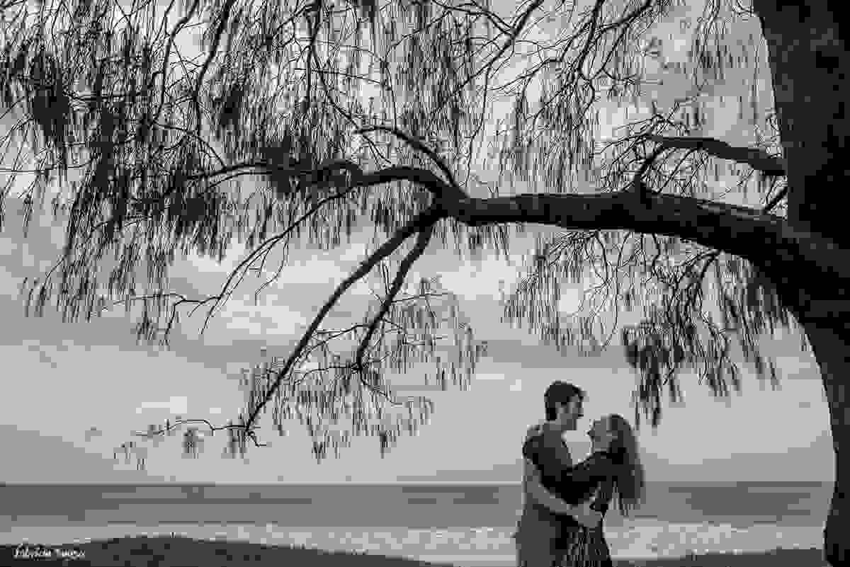 noivos sorrindo e quase se beijando embaixo da árvore na beira da praia em Florianópolis