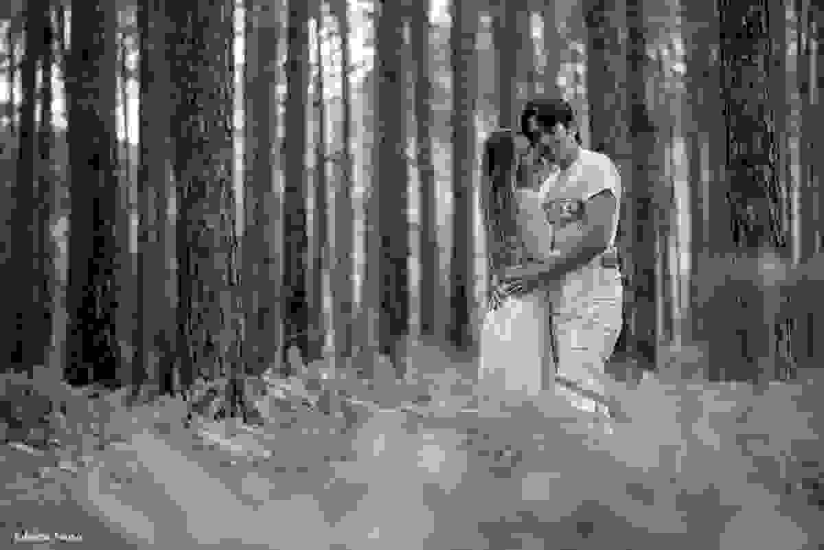 chamego dos noivos no meio do bosque no parque do rio vermelho Floripa em ensaio de casamento