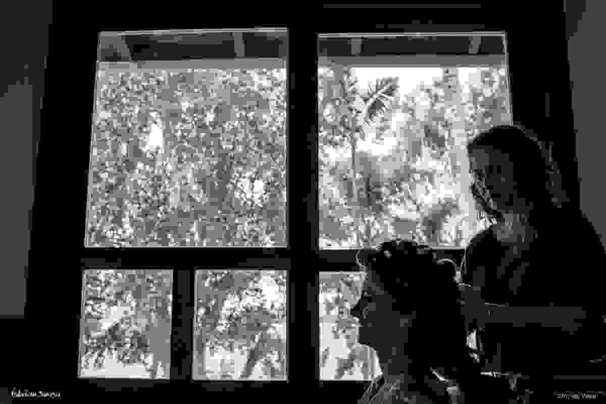 produção do cabelo da noiva - silhueta na janela na casa da mãe - Luciane Winter Beauty Artist