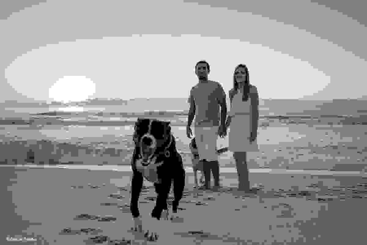 filhote de pitbull se diverte na praia durante sessão fotográfica pre-wedding