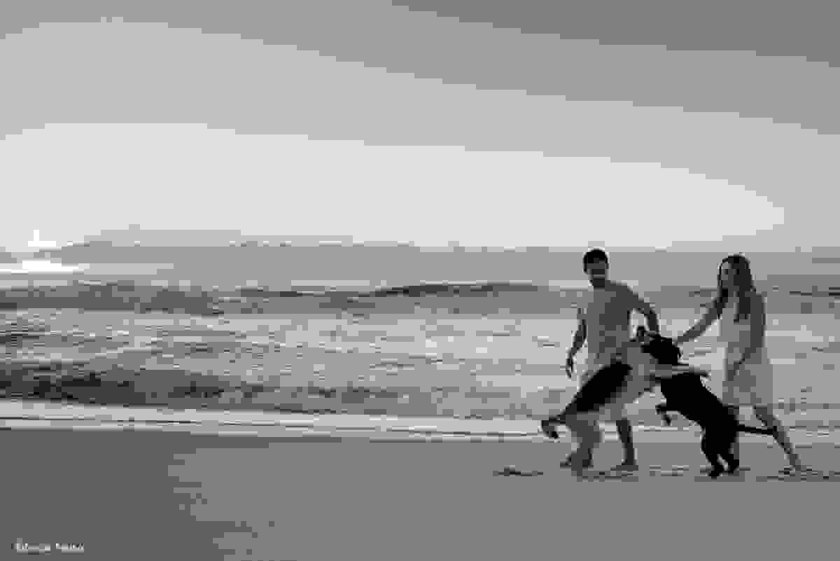 casal de cachorros brigando e brincando durante ensaio pre-casamento Mayara Besen Costa e Felix Tomazelli