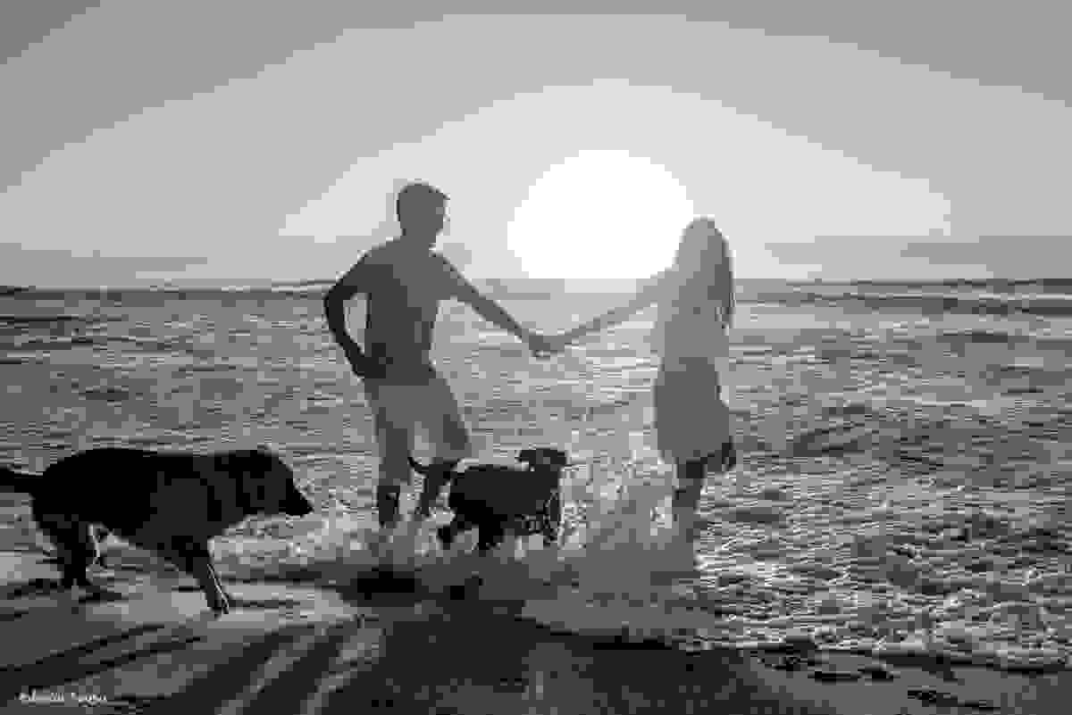 ensaio de casal ao amanhecer com cachorros na praia