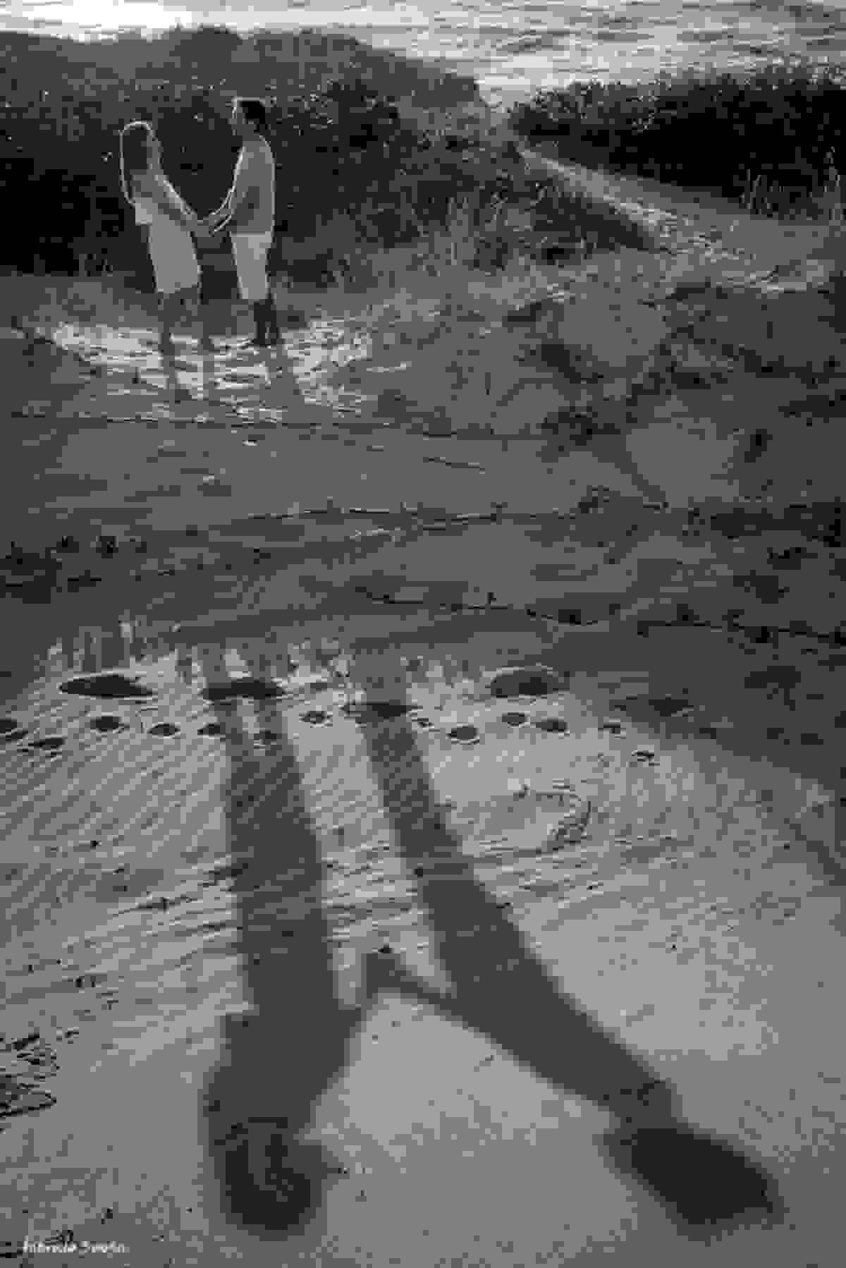 sombra projetada do casal de mãos dadas namorando na restinga da praia em Floripa