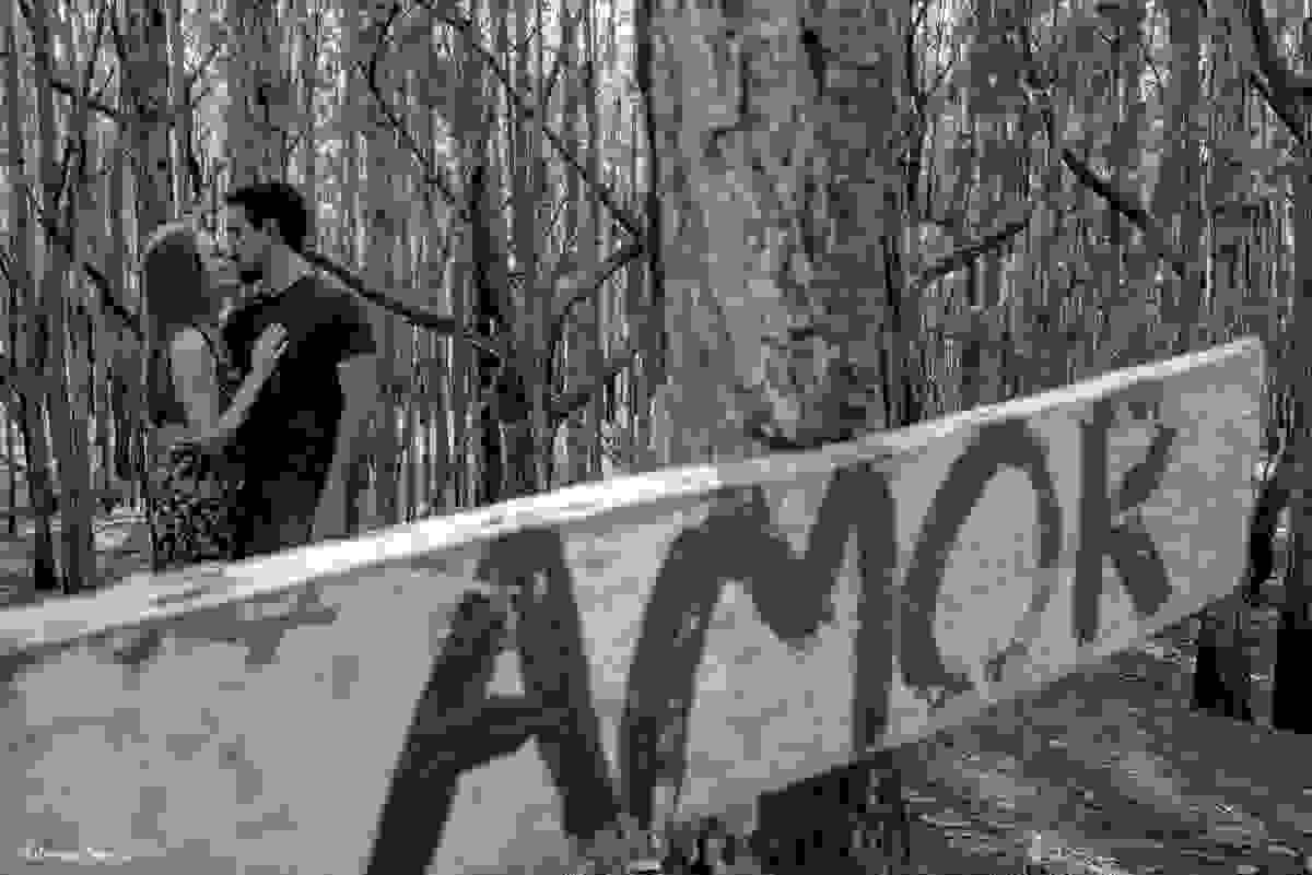 casal se beijando com placa escrito amor no bosque com luz dourada - ensaio prewedding