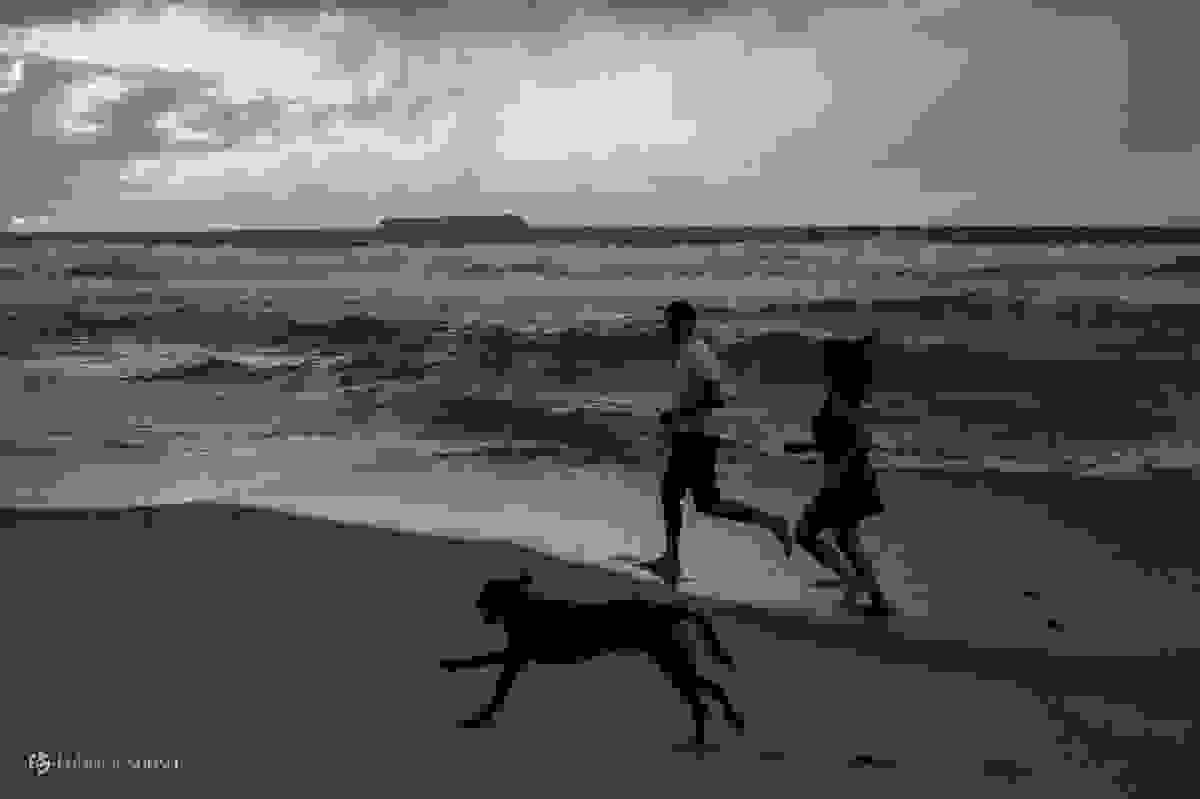 pet no ensaio fotográfico