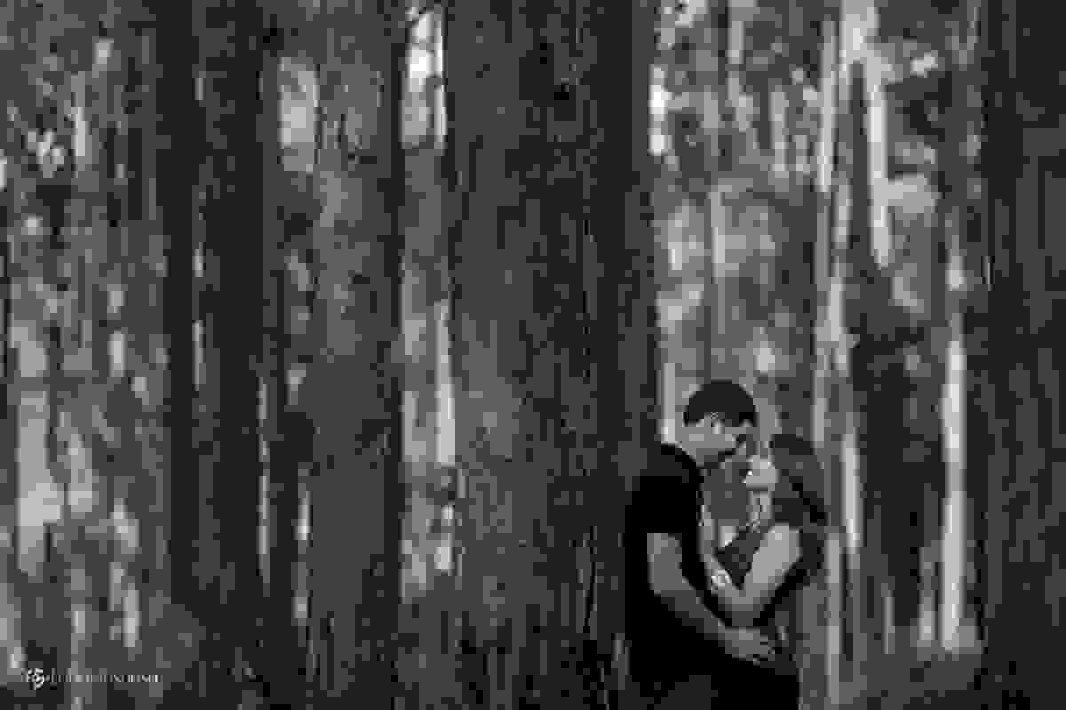 fotografia pre-wedding no bosque