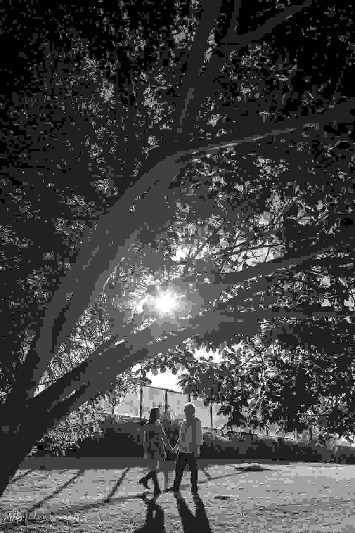 ensaio pre-wedding no inverno de Floripa