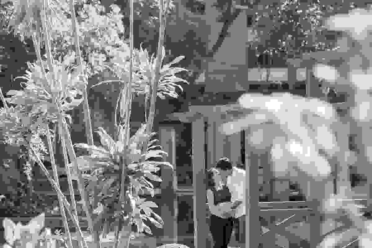 Casal grávidos se beijam no gazebo da praça