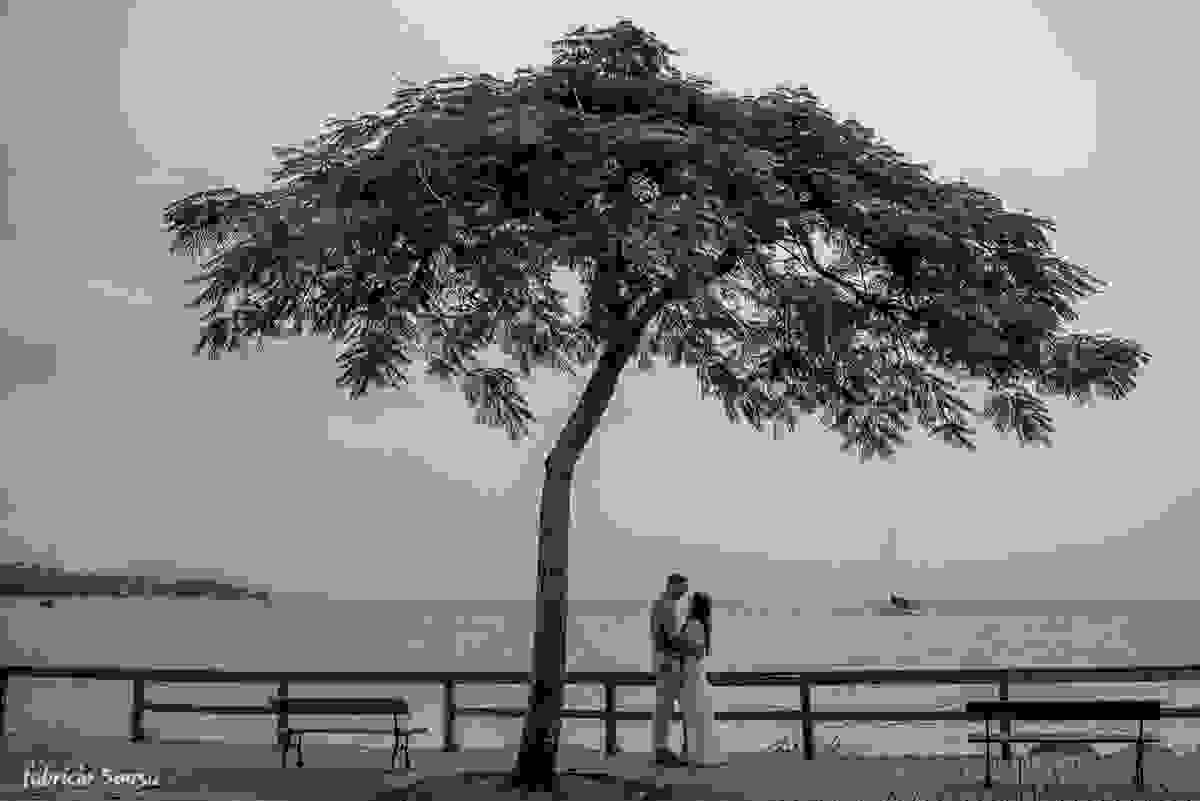 romance embaixo da árvore à beira mar