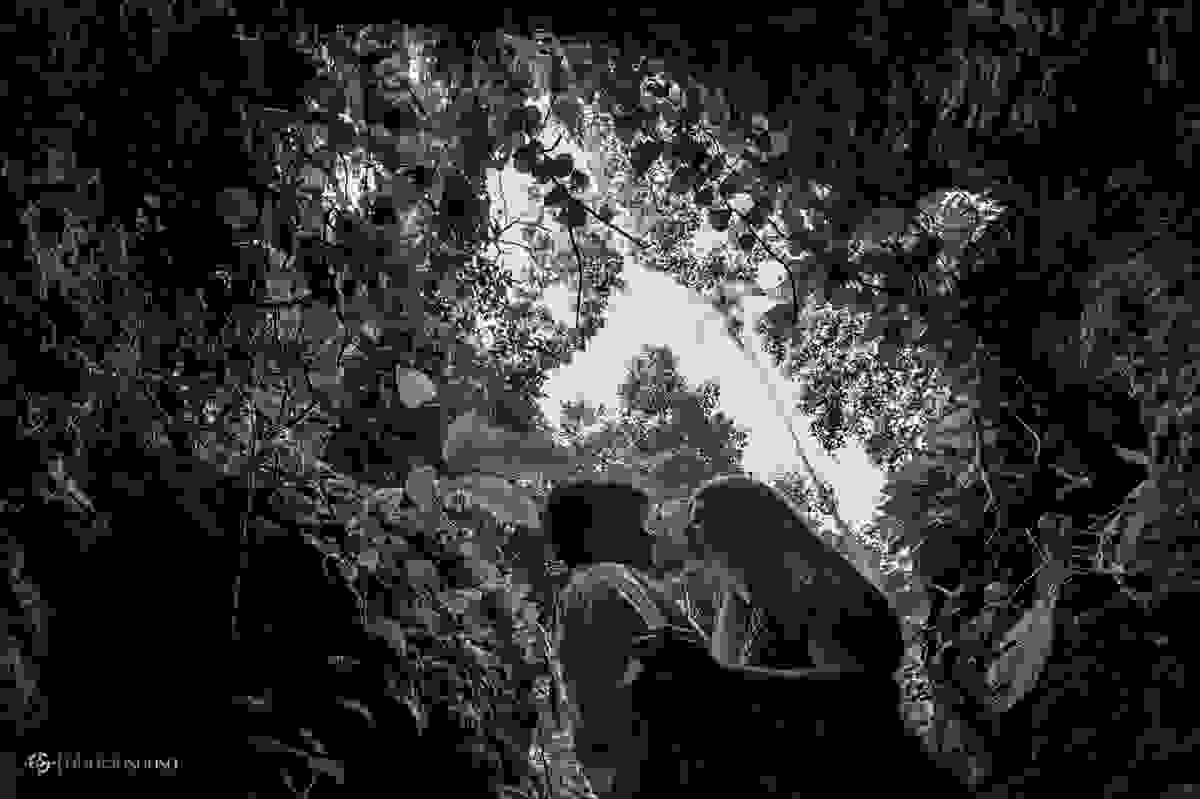 casal quase se beijando na floresta da tijuca