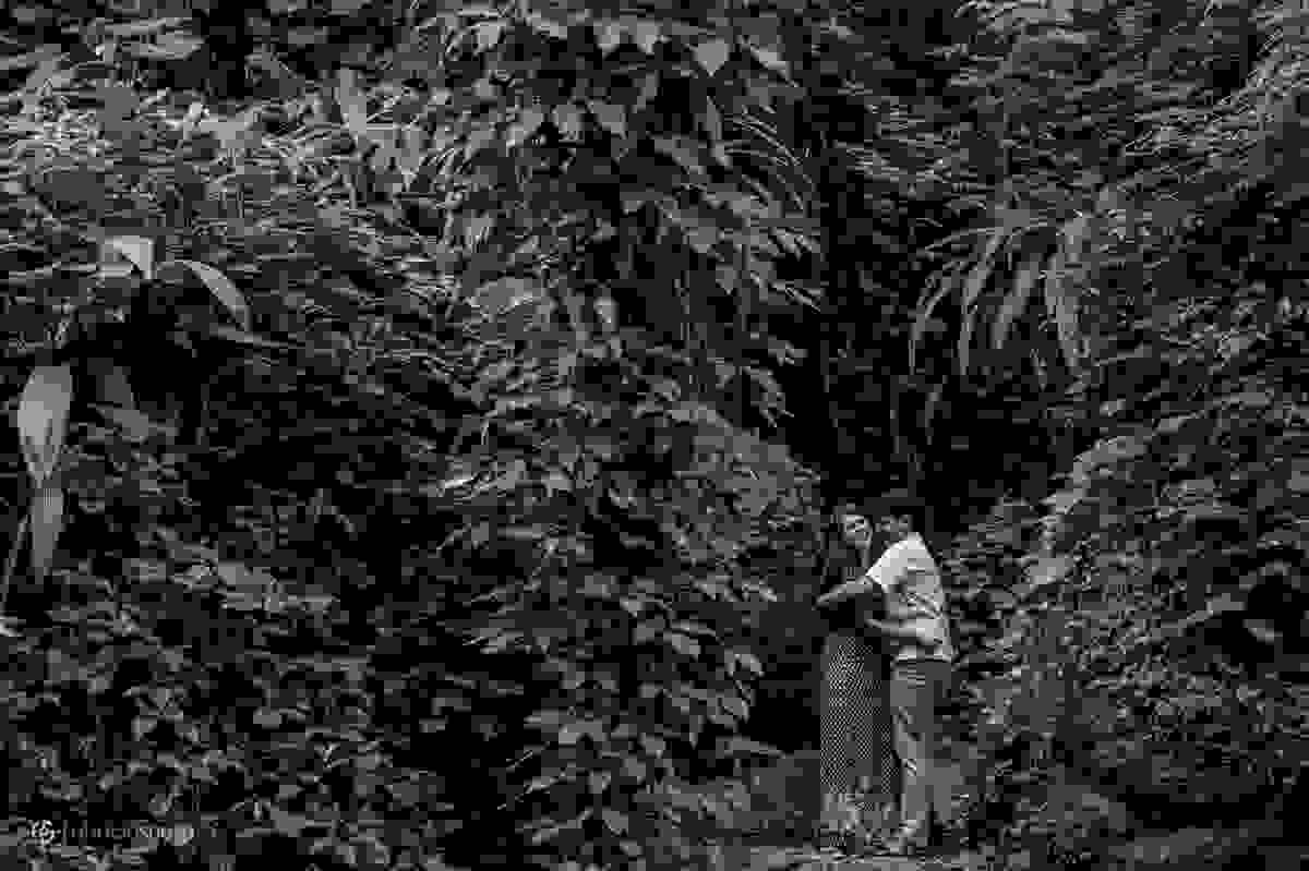 noiva tímida na floresta da tijuca