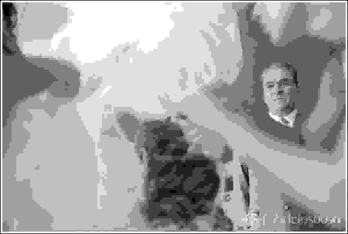colocando o véu da noiva com o pai assistindo