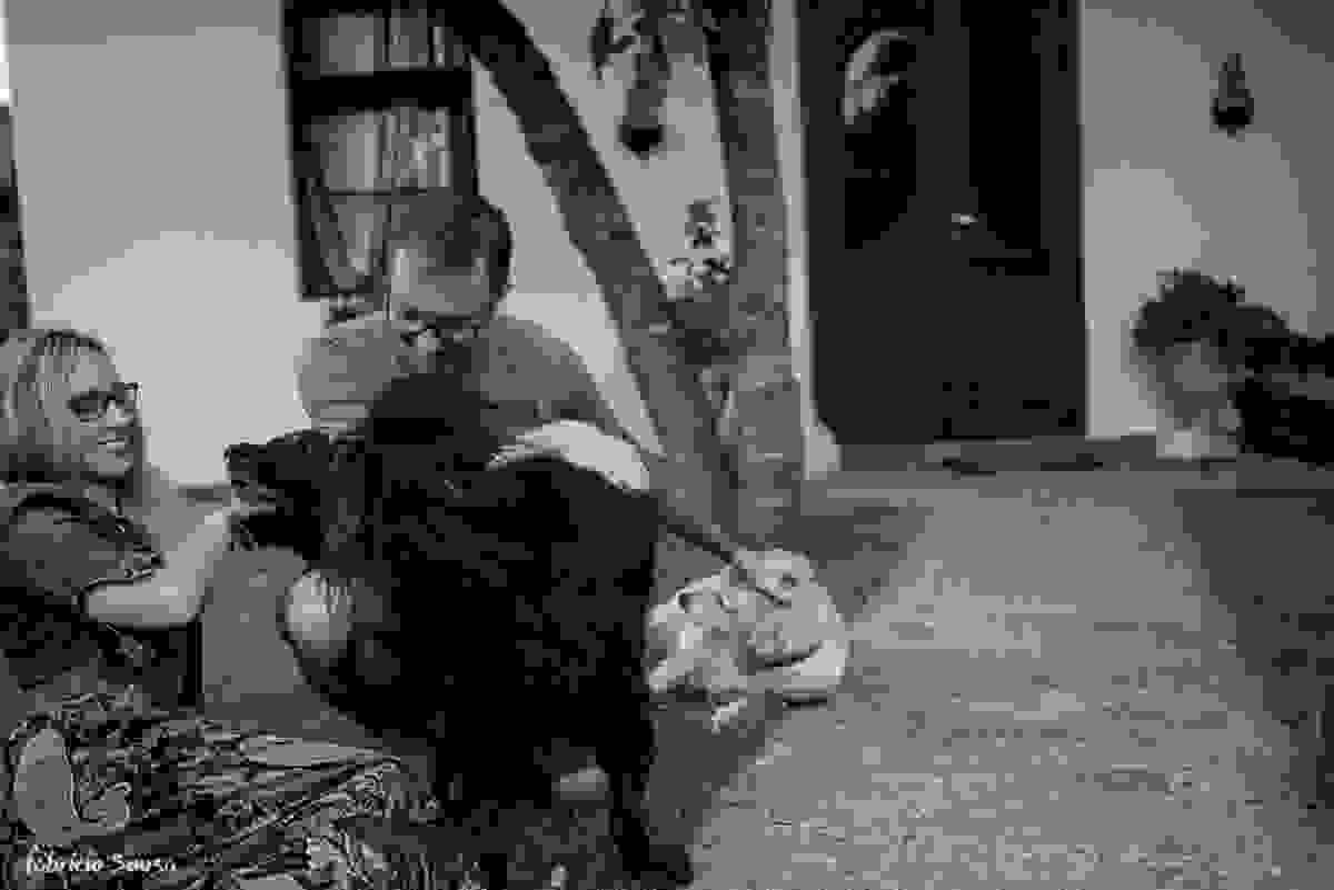 curtindo com os cachorros no gramado de casa