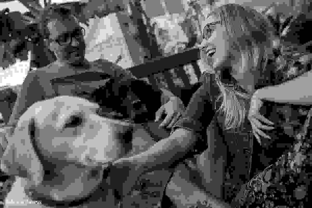 muitos sorridos com os cães mais amados